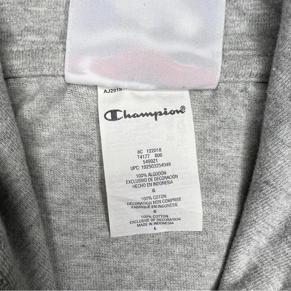 Champion Mens Middleweight T-Shirt Hoodie, Oxford Gray, Size L - Picture 3 of 9